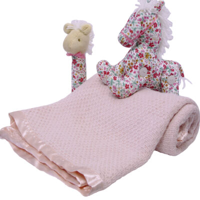 Baby's First Blanket and Pony Set Thumbnail