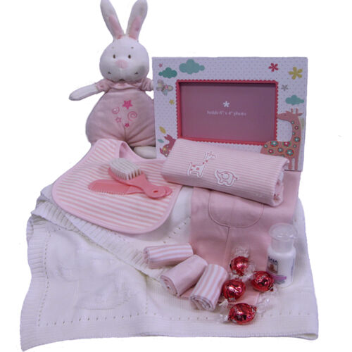 Safari Baby Gift with blanket Thumbnail